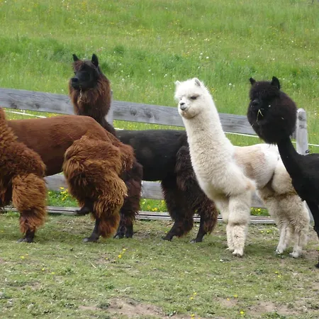 Grenerhof * هوبفغارتن ان ديفر