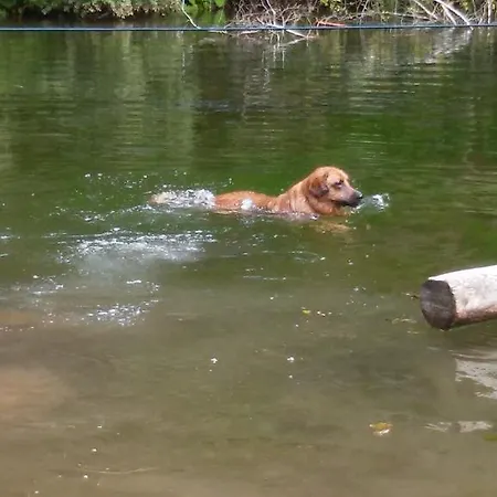 مزرعة للإقامة Grenerhof