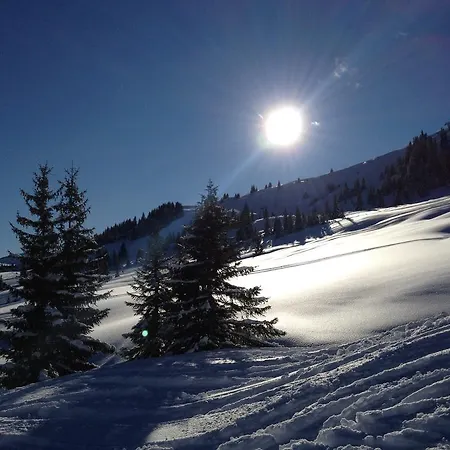 مزرعة للإقامة Grenerhof *