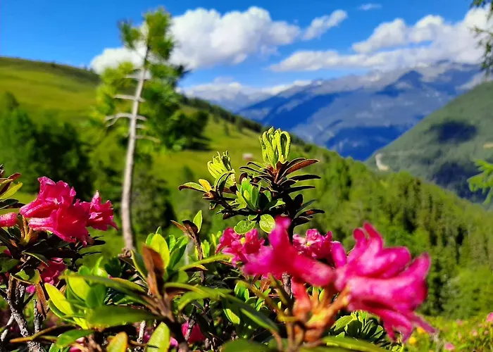 Farma Grenerhof Hopfgarten in Defereggen
