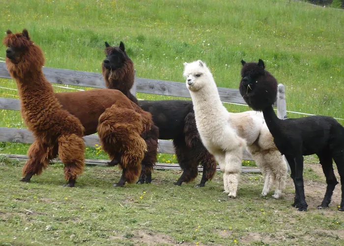 Grenerhof * Hopfgarten in Defereggen