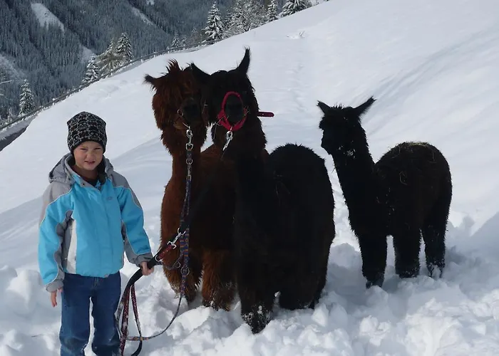 Grenerhof * Hopfgarten in Defereggen