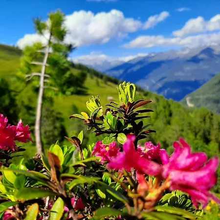 Κατάλυμα σε φάρμα Grenerhof Hopfgarten in Defereggen
