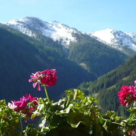Grenerhof Hopfgarten in Defereggen